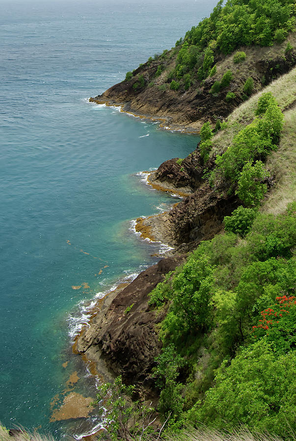 St Lucia Coast Photograph by Flinn Hackett