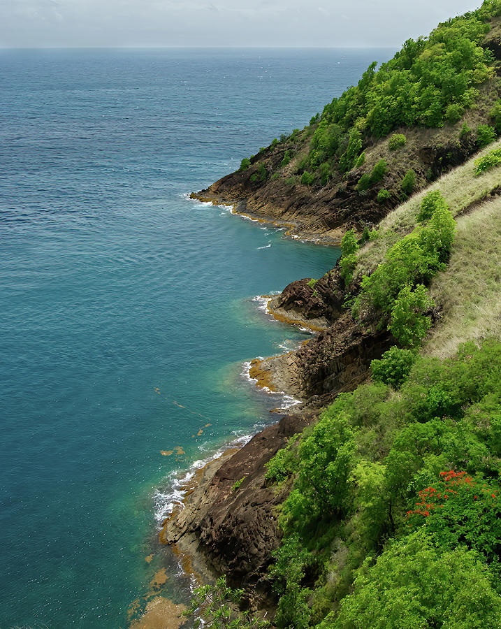 St. Lucia Coastline Photograph by Flinn Hackett
