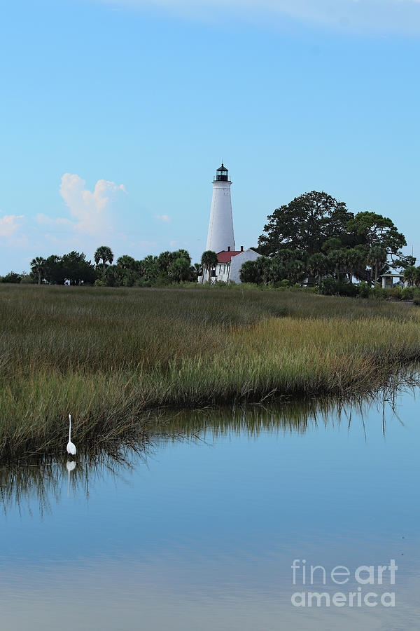 Nature Photograph - St Marks Lighthouse by Christiane Schulze Art And Photography