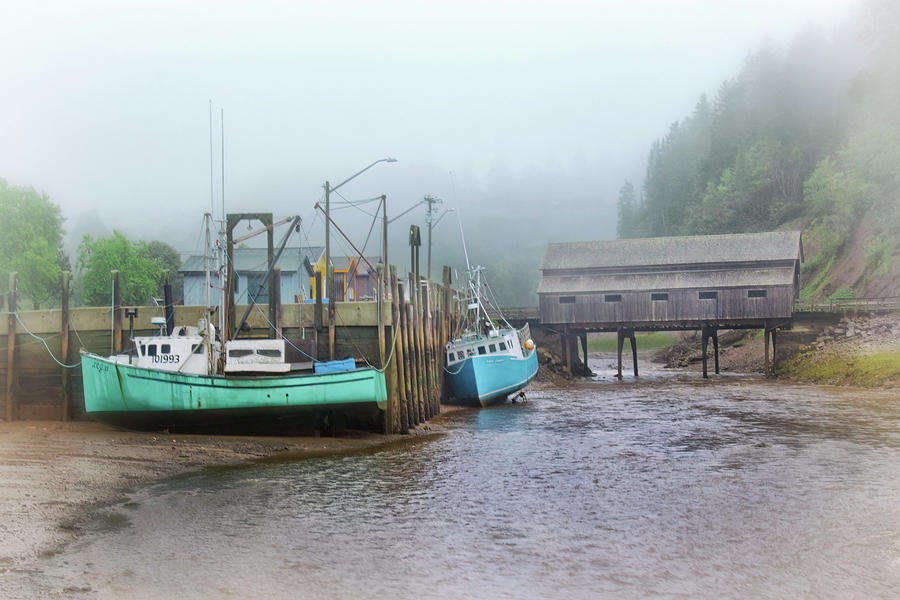St. Martins Harbour at Low Tide Photograph by Carolyn Derstine