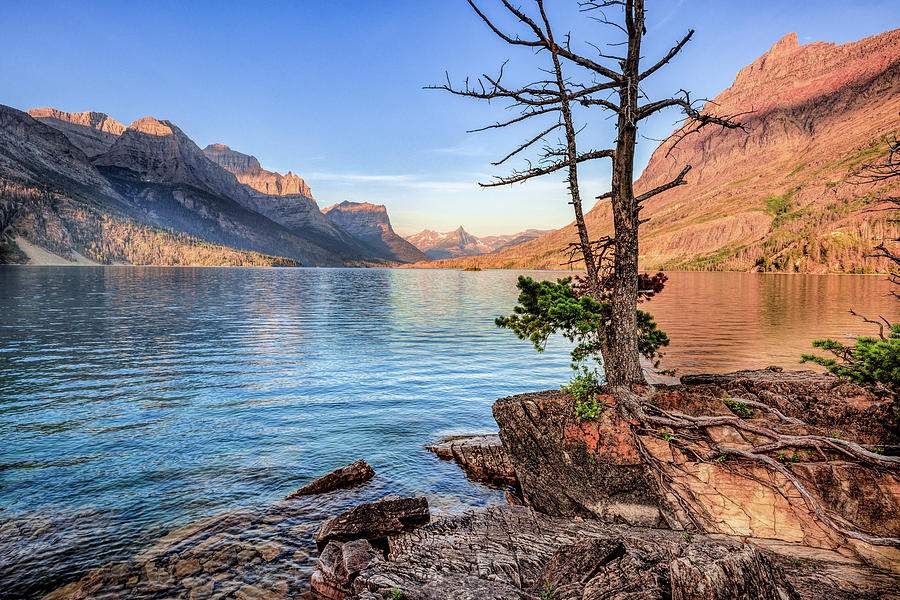 St Mary Lake Shore Photograph by Jack Bell