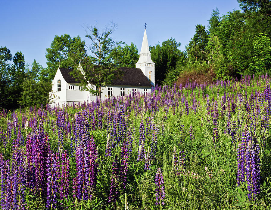 St Matthews Church - Sugar Hill, New Hampshire Photograph by John Rowe