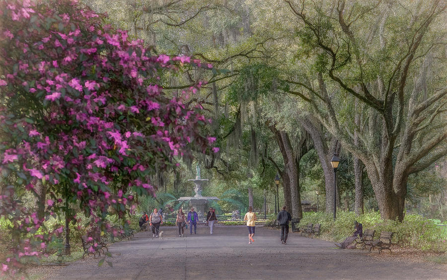 St. Patricks Day in Forsythe Park, Savannah Photograph by Marcy Wielfaert