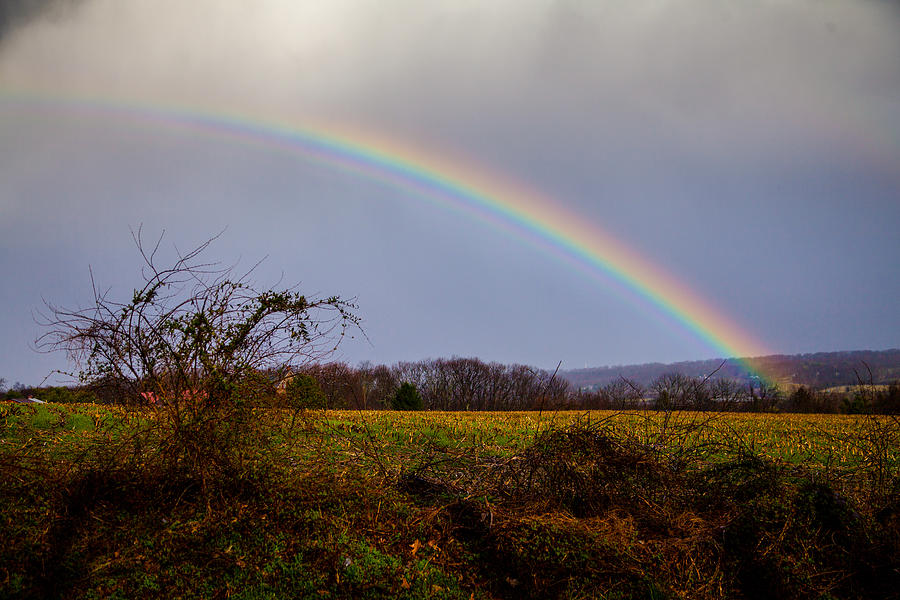 St. Pattys Day Rainbow Photograph by Vanessa Lassin Photography