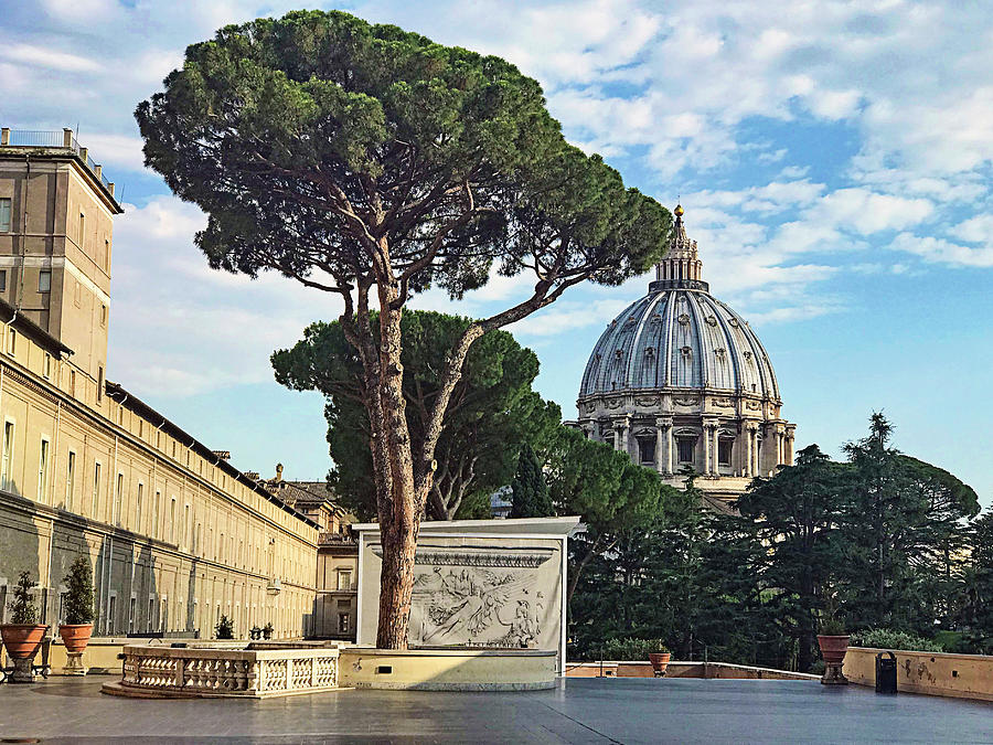 St Peters Basilica Photograph by Jill Love
