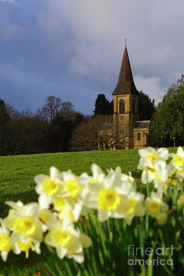 St Peters church and daffodils Southborough Common Kent UK Photograph by James Brunker