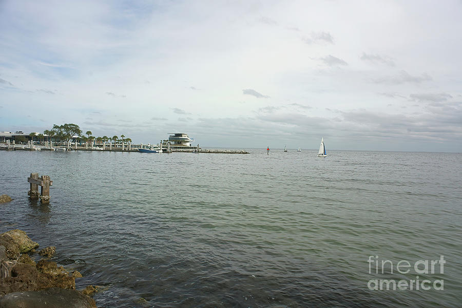 St. Petersburg Waterfront, Florida Photograph by Felix Lai