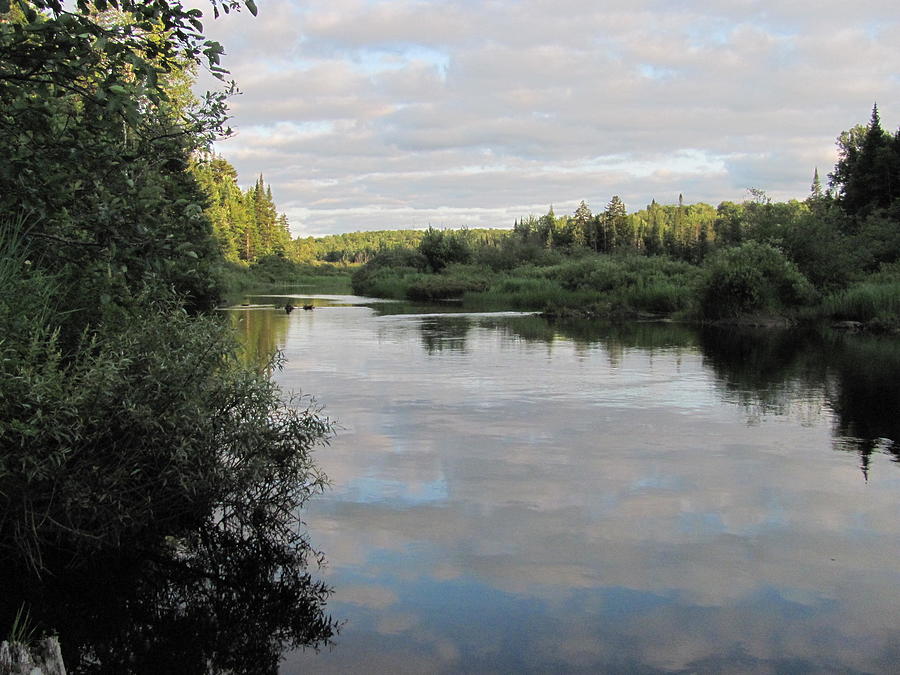 St Regis River Photograph by Edward Theilmann - Fine Art America