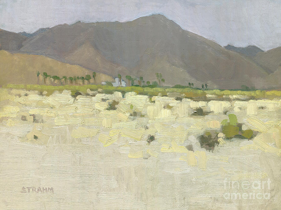 St Richards in Borrego Springs Painting by Paul Strahm