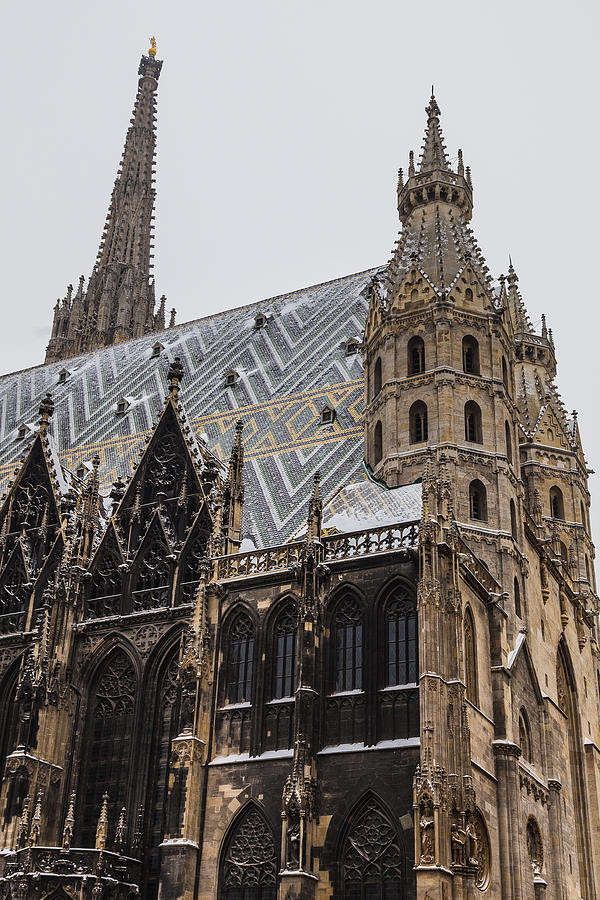 St. Stephens Cathedral (Stephansdom in the Winter) Photograph by Mikeinlondon