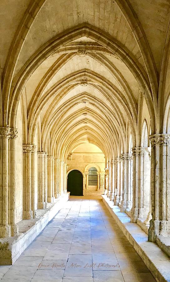 St. Trophime Cloister in Arles Photograph by Donna Martin  Artisan Light