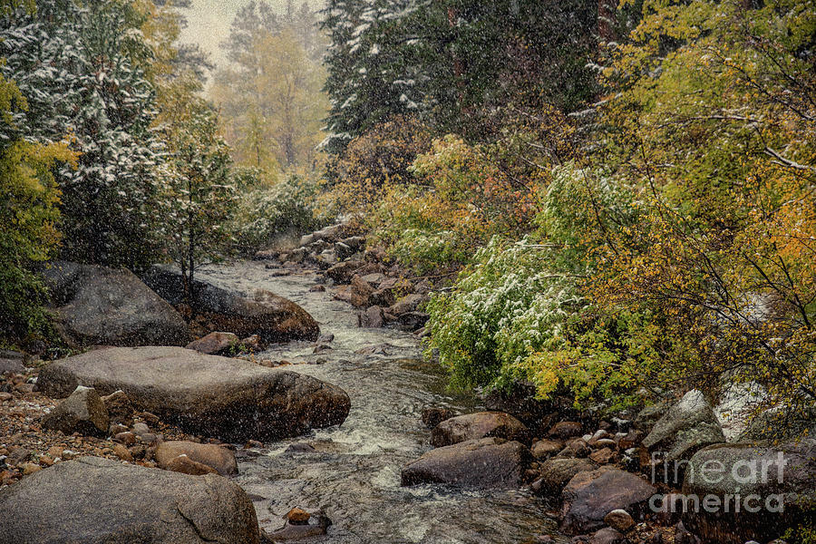 St Vrain in Autumn Photograph by Lynn Sprowl