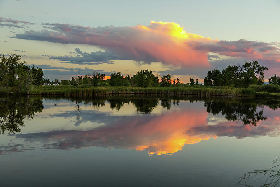 St Vrain State Park Mallard Pond Reflections Photograph by James BO Insogna St Vrain State Park Mallard Pond Reflections Photograph by James BO Insogna
