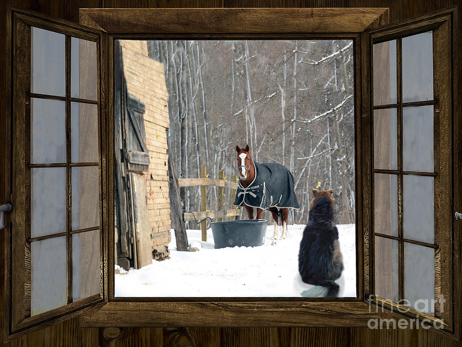 Stable Friends In Winter Mixed Media by Sandi OReilly