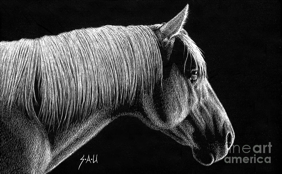 Stable Thoughts Drawing by Sheryl Unwin