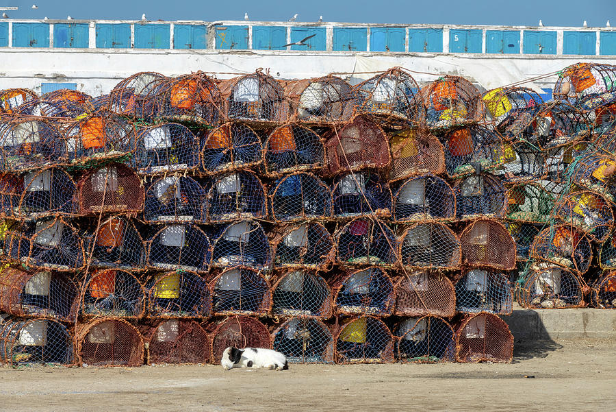 Stack of crab traps is Essaouira port Photograph by Mikhail Kokhanchikov