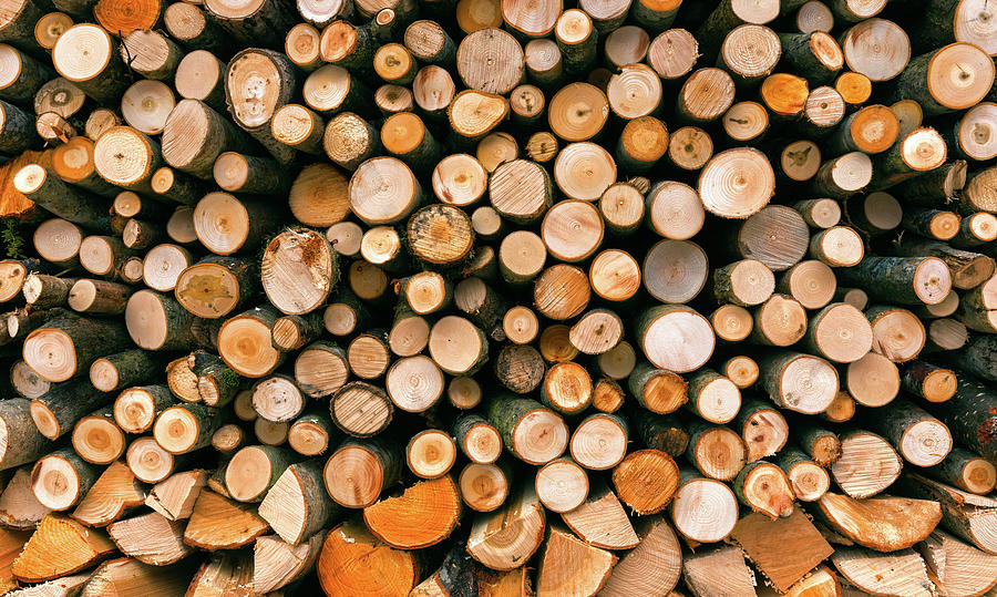 Stack Of Firewood Photograph
