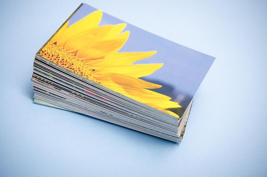 Stack of printed colorful images about spring sunflower Photograph by Franckreporter