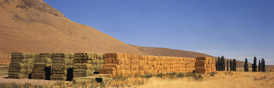 Stacked bales of alfalfa, mountains beyond Photograph by Timothy Hearsum