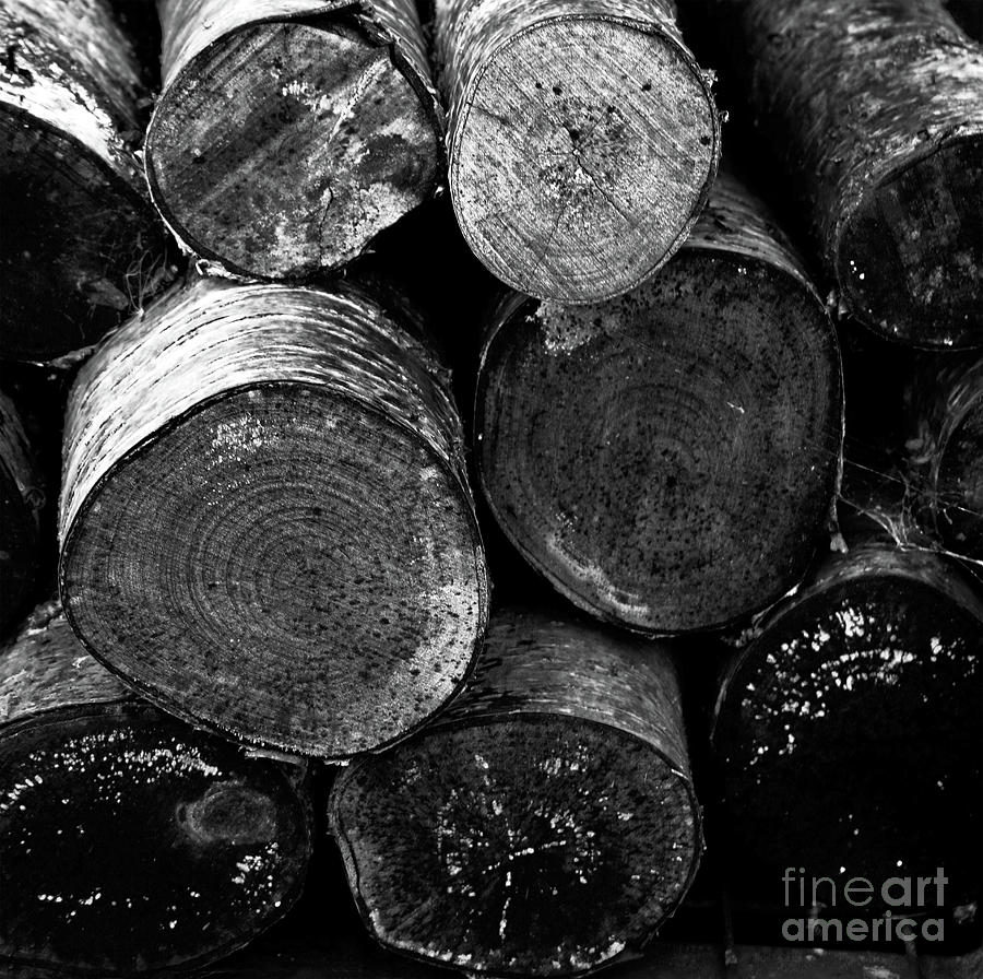 Stacked Firewood - Study I Photograph by Doc Braham