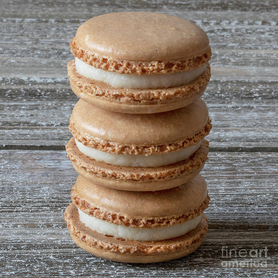 Cookie Photograph - Stacked Vanilla Macarons Square by Elisabeth Lucas