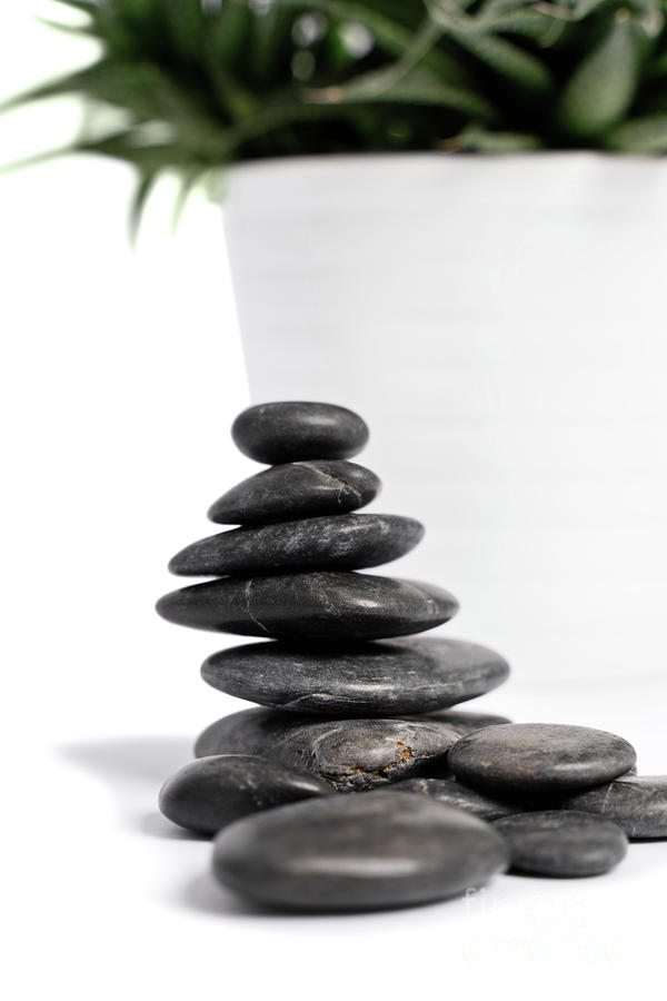 Stacked zen stones with white succulent flowerpot in background Photograph by Mendelex Photography