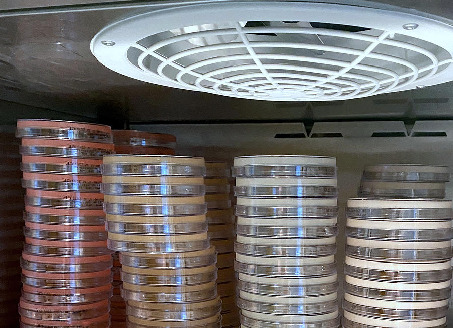 Stacks of agar plates inside incubation cabinet Photograph by Scharvik