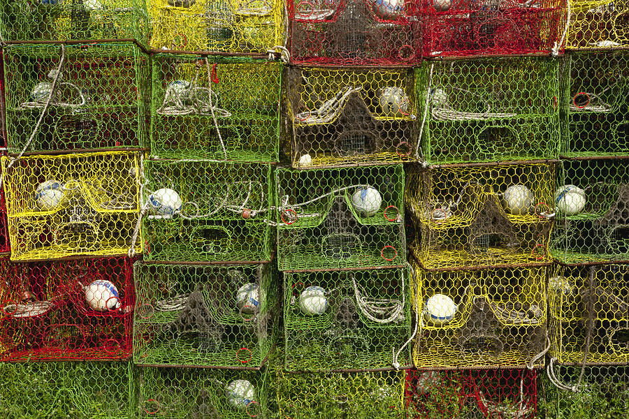 Stacks of colorful lobster/crab traps Photograph by Timothy Hearsum