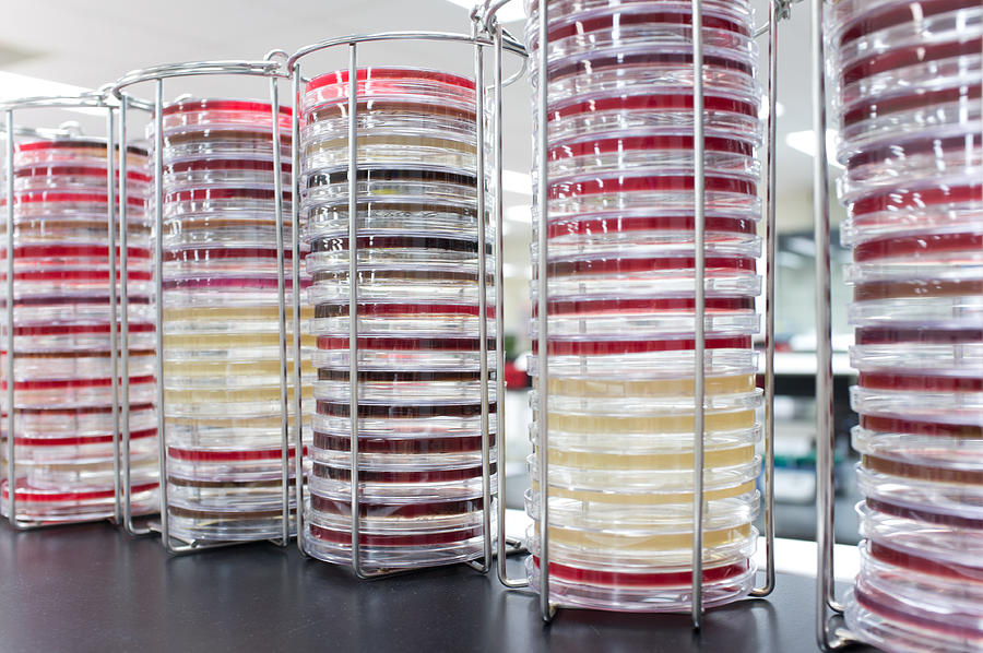 Stacks of Petri dishes Photograph by Zmeel