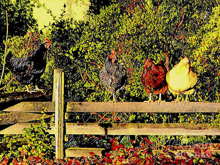 Chickens Digital Art - Staff Meeting. alberta-brown-buller.pixels.com by Alberta Brown Buller Chickens Digital Art - Staff Meeting. alberta-brown-buller.pixels.com by Alberta Brown Buller