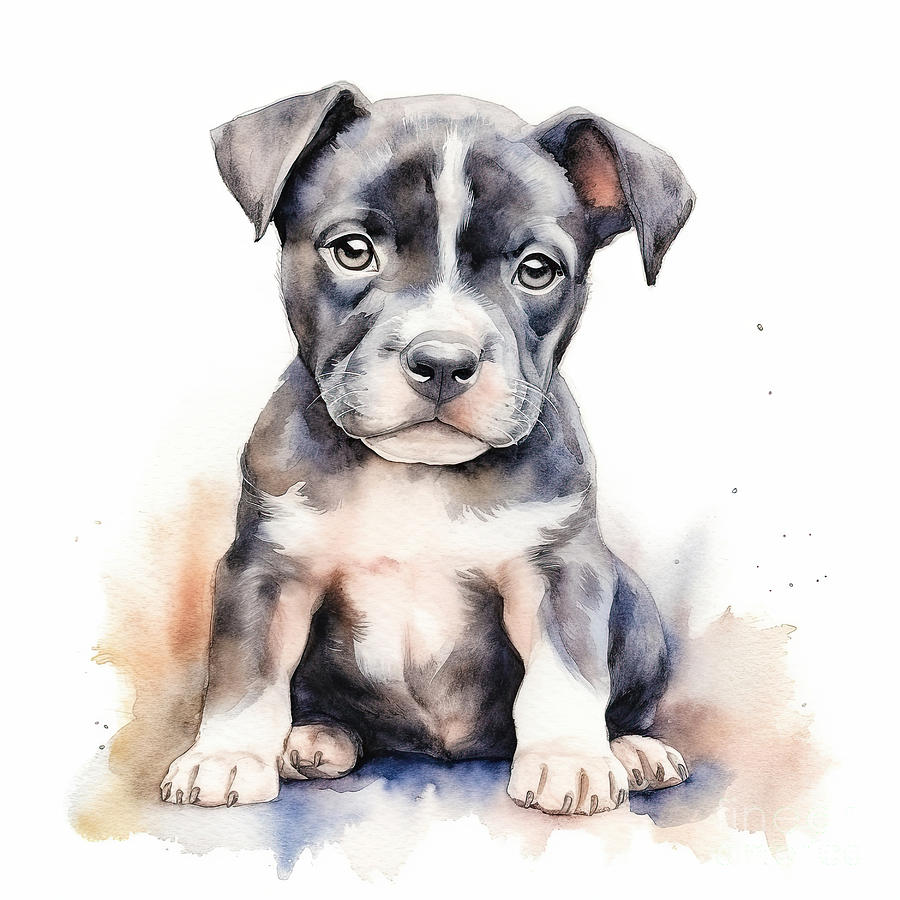 Staffordshire bull terrier puppy. Stylized watercolour digital illustration of a cute dog with big eyes. Photograph by Jane Rix