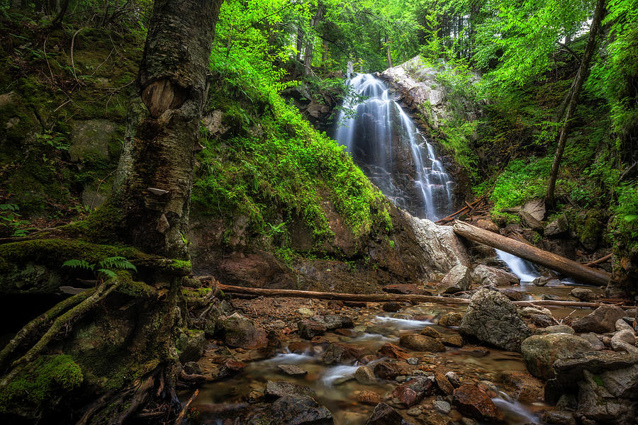 Nature Photograph - Stag Brook Falls 2 by Mark Papke