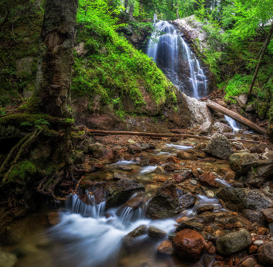 Stag Brook Falls Photograph by Mark Papke