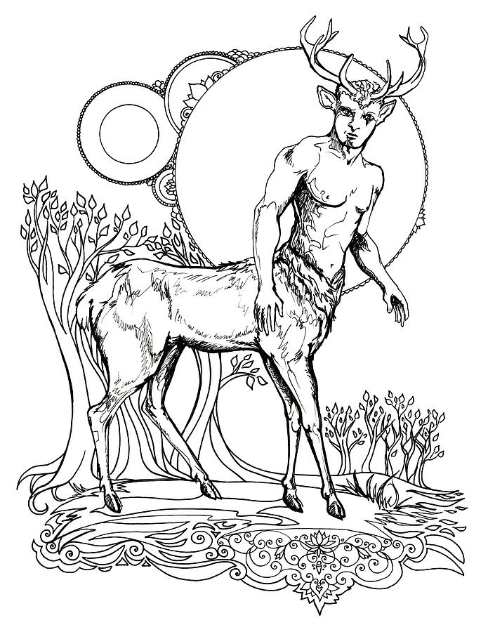 Stag Centaur Drawing