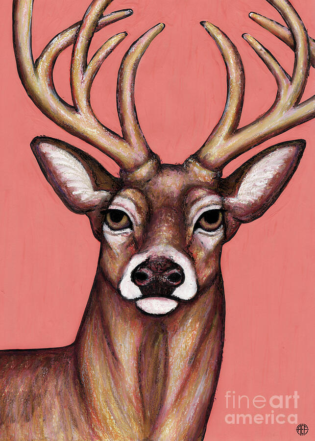 Stag Portrait, Coral Pink Painting by Amy E Fraser Stag Portrait, Coral Pink Painting by Amy E Fraser