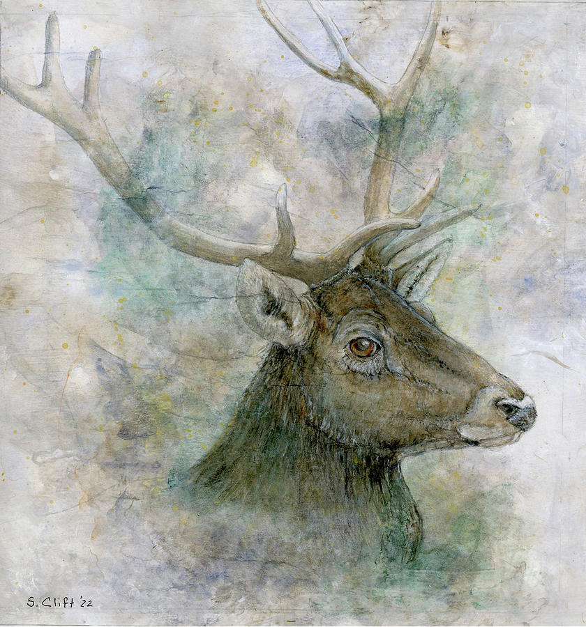 Stag Portrait Mixed Media by Sandy Clift