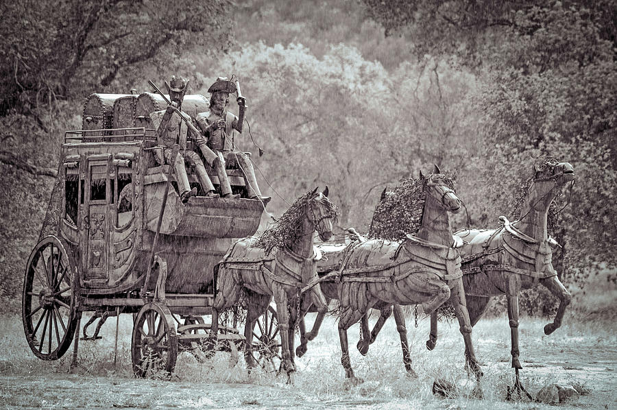 Stagecoach Photograph by Debra Kewley