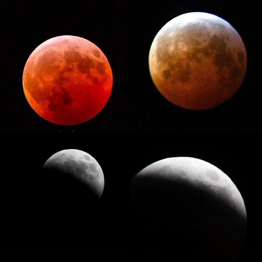 Stages of the Moon during Eclipse Photograph by Deb Stone - Pixels