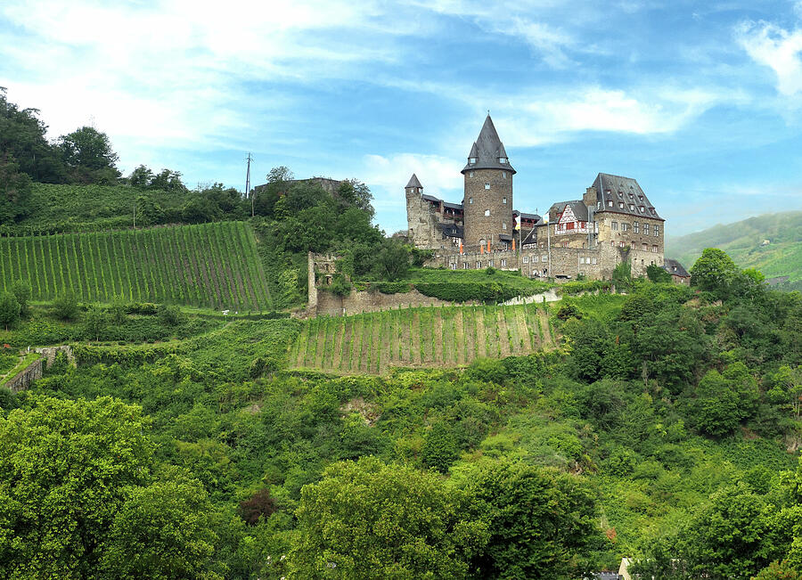 Stahleck Castle Photograph by Phyllis Taylor - Fine Art America