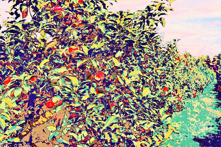 Stained Glass Apple Orchard I Photograph by Diann Fisher Fine Art America