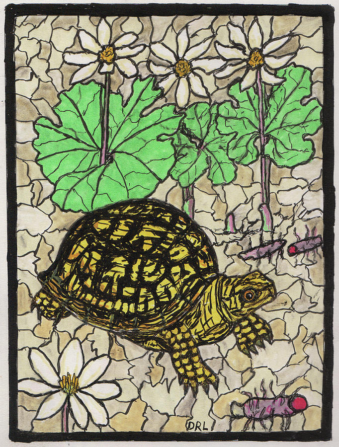 Stained Glass Eastern Box Turtle and Bloodroot Drawing by Danny Lowe
