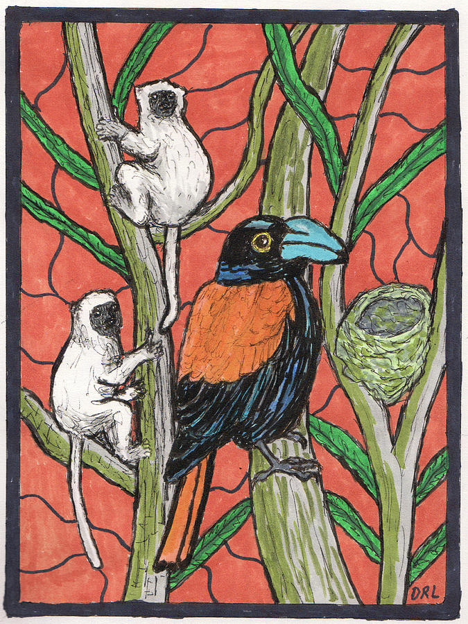 Stained Glass Helmet Vanga and Silky Sifakas Drawing by Danny Lowe