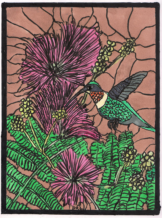 Stained Glass Hummingbird and Mimosa Drawing by Danny Lowe
