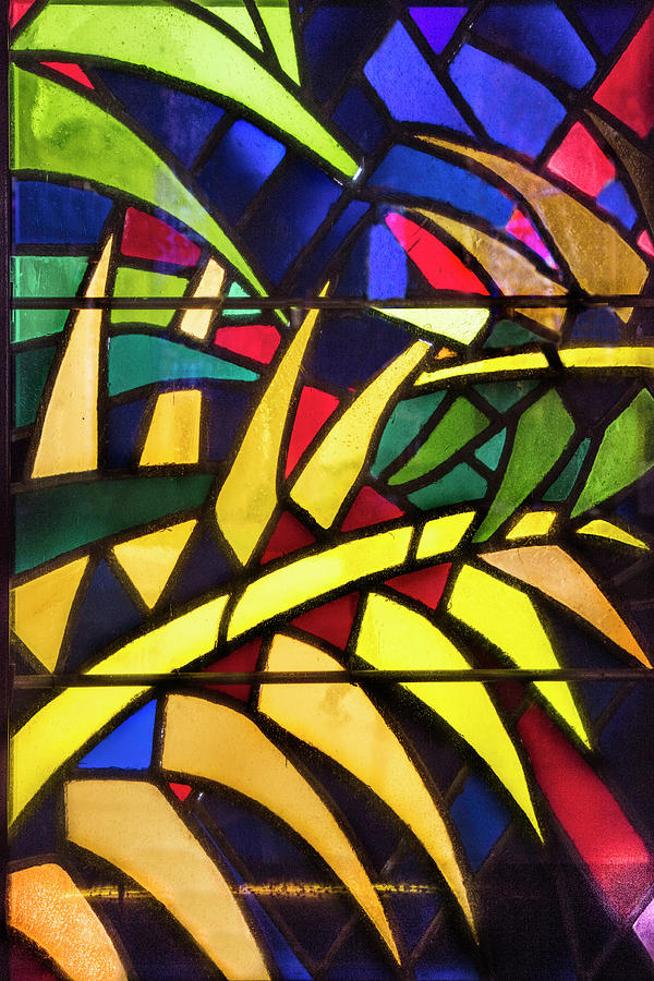 Stained Glass Leaves Photograph by Debra and Dave Vanderlaan