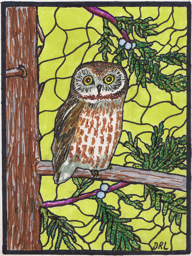 Stained Glass Northern Saw-Whet Owl and Eastern Red Cedar Drawing by Danny Lowe