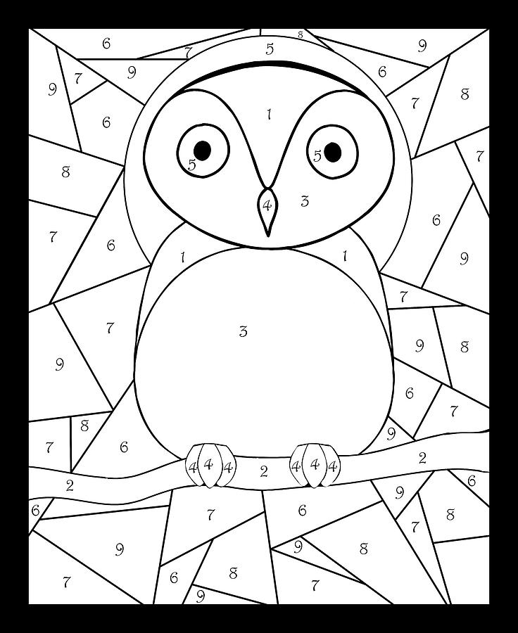 CA10 Owls Color Book 8.25 x11