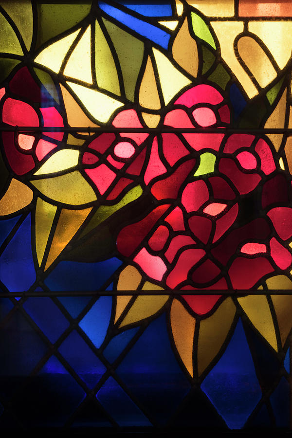 Stained Glass Roses Photograph by Debra and Dave Vanderlaan