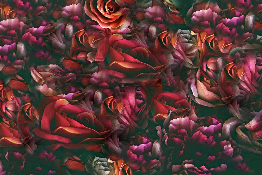 Stained Glass Roses Photograph by Jessica Jenney