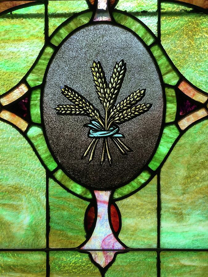 Stained Glass Sheath of Wheat Photograph by Mary Tastad Stained Glass Sheath of Wheat Photograph by Mary Tastad