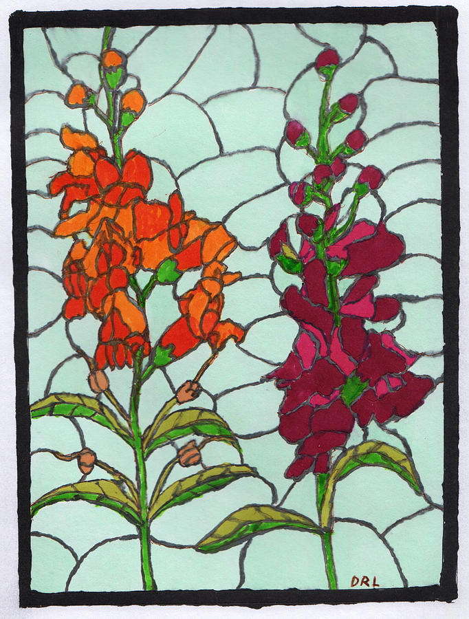 Stained Glass Snapdragons Drawing by Danny Lowe